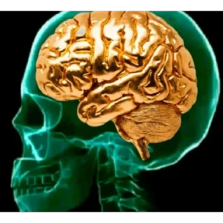 Video sticker 😎 stiki