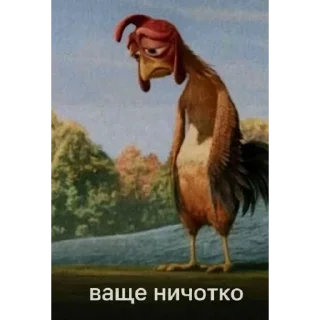 Video sticker 😫 stiki