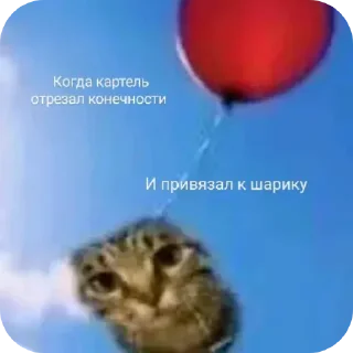 Telegram sticker 💊 Больше стиков тут: @stikery4