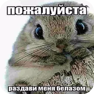 Telegram sticker 👍 Больше стиков тут: @stikery4