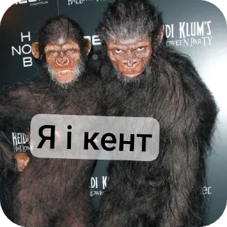 Телеграм стикер 🖼 Ти што