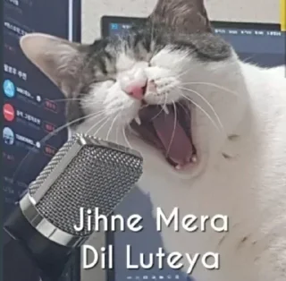 Video sticker 😁 𝐒𝐭𝐢𝐜𝐤𝐞𝐫𝐬 𝐛𝐲 @Sticmkers
