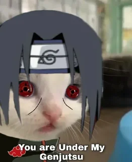 Video sticker 👽 Itachi