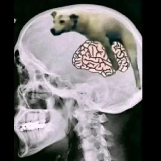 Telegram sticker 😏 @TRUEFEMPOWER