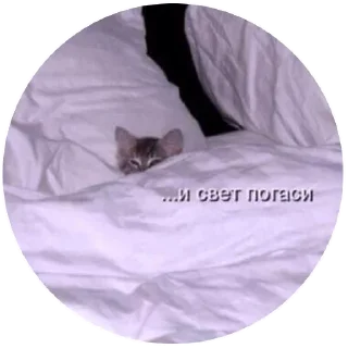 Telegram sticker 🌝 Больше стикеров тут: @stikery_emodzi_memy