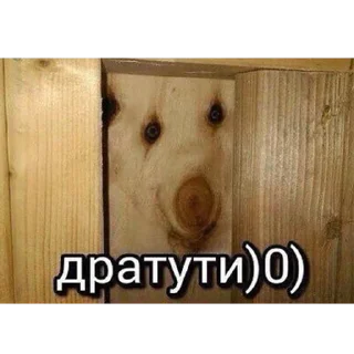 Video sticker 👋 دودة الكرز