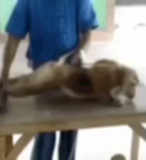 Video sticker 😂 𝐁𝐑𝐎𝐃 ll @lYI_Y