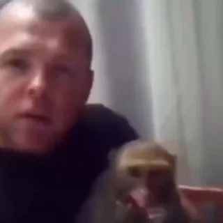 Video sticker 🌟 самойловаебашилаопятт :: @fStikBot