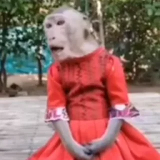 Video sticker 🌟 самойловаебашилаопятт :: @fStikBot