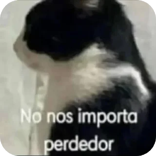 Video sticker 🐶 Muejeje pack descuido se le ve todo