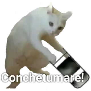 Telegram stiker 🤬 Aea mongol