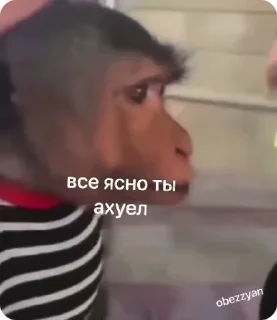Video sticker 😤 Пон-Дурацкое слово :: @fStikBot