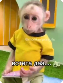 Video sticker 😯 Пон-Дурацкое слово :: @fStikBot
