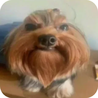 Telegram sticker 👄 @an4b1 ☆