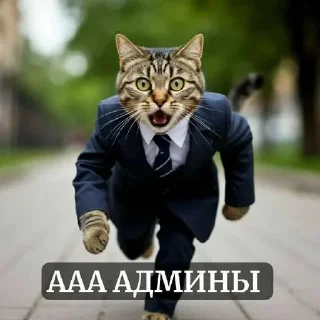 Telegram sticker 😨 Больше стиков тут: @stikery4