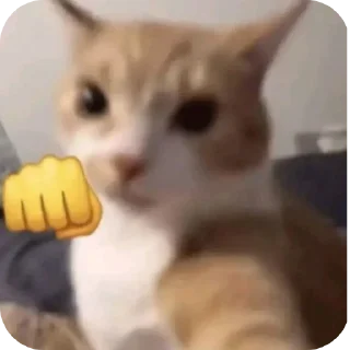 Video sticker 🐱 F**king Cat : @DialogAnime