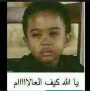 Video sticker 😐 ملصقات  @lol202n