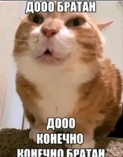 Sticker 🤩 Лобковый газон @TgEmodziBot