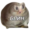 Video sticker 🥴 random ➜ @emoji1
