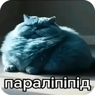 Telegram sticker 🐱 Пiпiдастр :: @fStikBot
