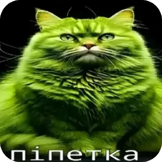 Telegram sticker 🐱 Пiпiдастр :: @fStikBot