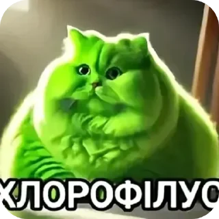 Telegram sticker 🐱 Пiпiдастр :: @fStikBot