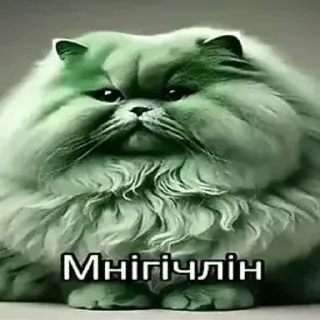 Video sticker 🌟 Пiпiдастр :: @fStikBot