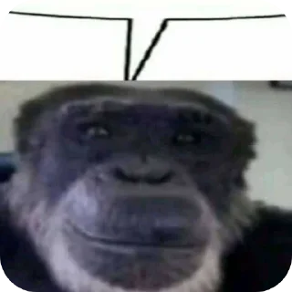 Video sticker 🐶 Vitor Gostoso 3 - @OVitorBernardesOfc