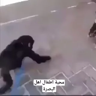 Telegram sticker 😅 اهل البصره 😅☝🏻