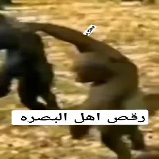 Telegram sticker 😅 اهل البصره 😅☝🏻