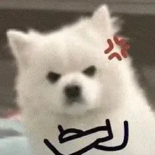 Video sticker ✨ 麦麦