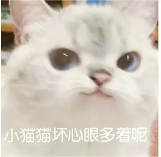 Telegram sticker 👀 麦麦