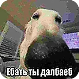 Telegram sticker 👎 🤟Penis🤟