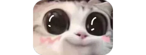 Телеграм стикер ➖ @my_stiicker