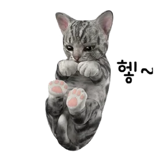Телеграм стикер 💬 뭘 봐? 빨리 놀아줘~! 점프냥이 By @KakaoEmoticon