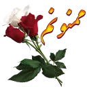 Telegram sticker 💐 FLOWER-95/12/1