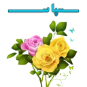 Telegram sticker 💐 FLOWER-95/12/1