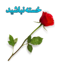 Telegram sticker 💐 FLOWER-95/12/1