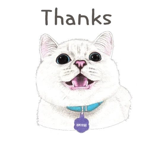Телеграм стикер 😁 Iam your Cat @stickersb2b