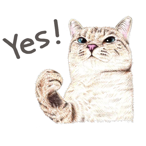 Телеграм стикер 😄 Iam your Cat @stickersb2b