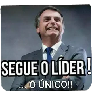 Video sticker 😀 Bolsofãs