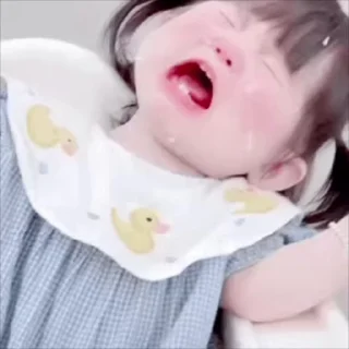 Video sticker 🌟 电话短信轰炸|飞机账号 @xiatianddeye