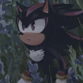 Telegram sticker 😳 Shadow the hedgehog.