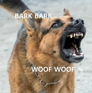 Video sticker 😡 Happy Puppies