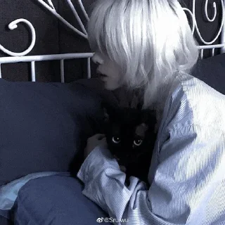 Телеграм стикер 🖤 𝕸𝖙𝖎𝖓𓃠