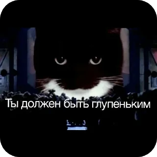 Telegram stiker 🐱 Кичи и пушка @KICHAMUR