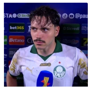 Sticker 🥰 periquito verde abel