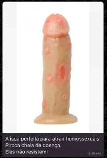 Telegram sticker 🍆 periquito verde abel