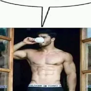 Video sticker 💬 periquito verde abel