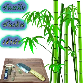 Telegram sticker 🎋 Rหนาน ของแทร่